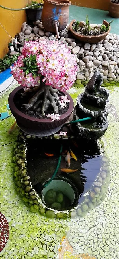 Pousada A Flor Da Terra Porto Seguro Brazil