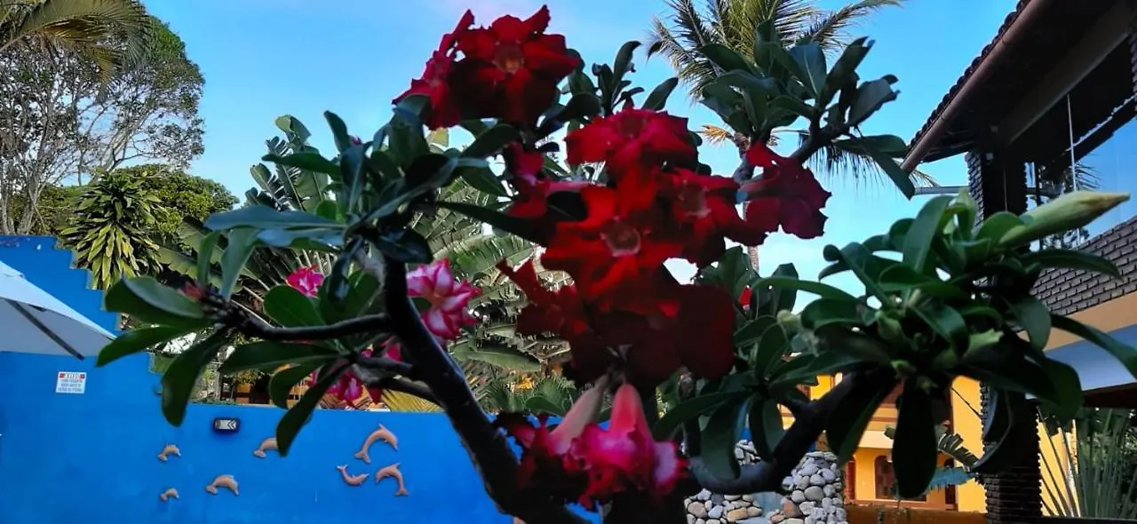 Pousada A Flor Da Terra Porto Seguro