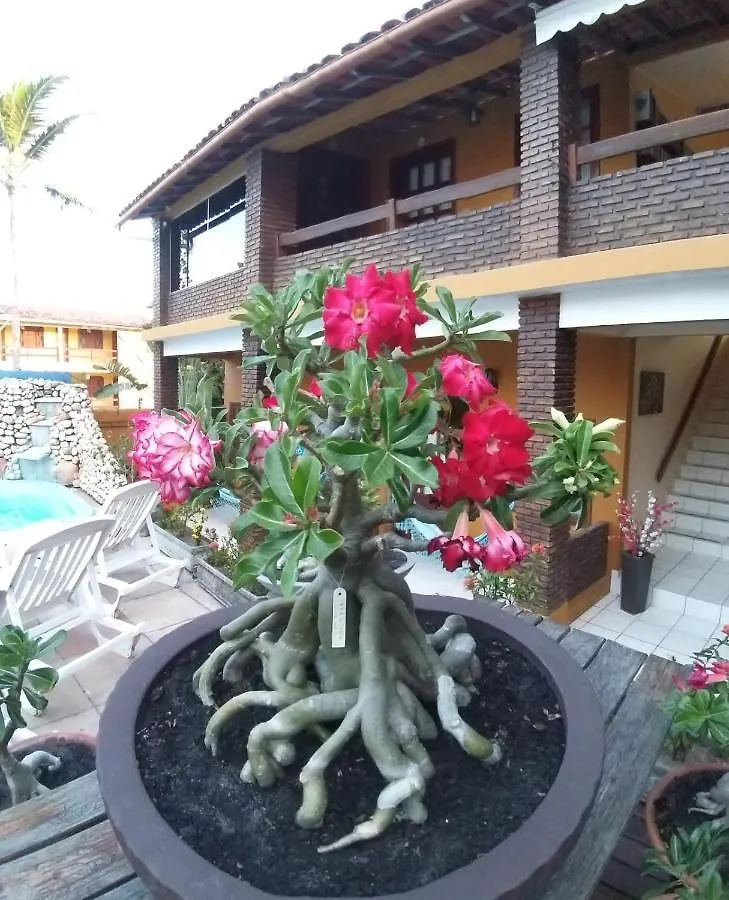 Pousada A Flor Da Terra Porto Seguro Inn