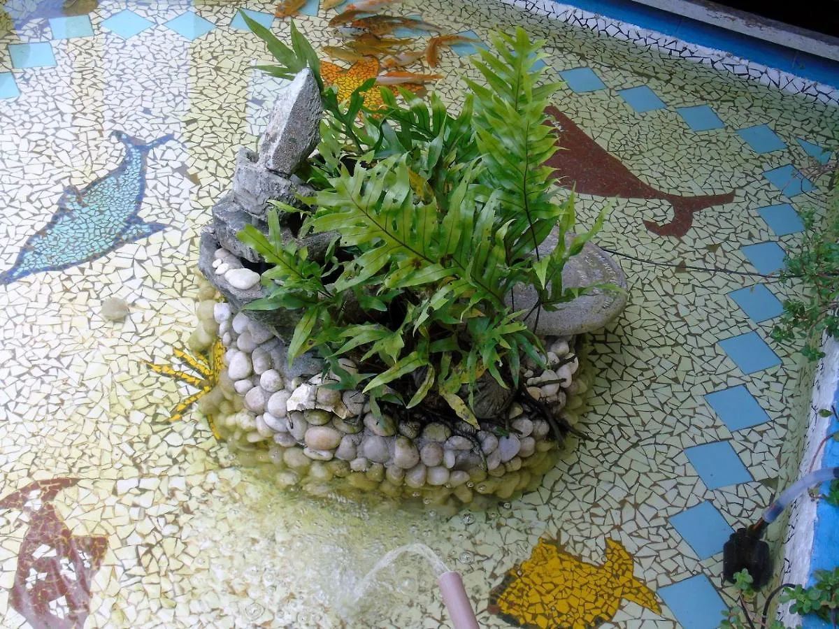 Pousada A Flor Da Terra Porto Seguro Inn